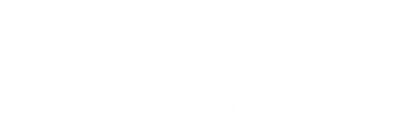 IAN Consulting Group